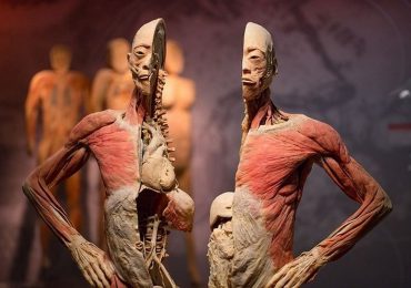 Triển lãm xác người của ‘Tiến sĩ Thần chết’ gây tranh cãi
