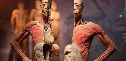 Triển lãm xác người của ‘Tiến sĩ Thần chết’ gây tranh cãi