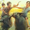 Đạo diễn Nguyễn Quang Dũng: ‘Chúng tôi đã sẵn sàng đưa Đất Rừng Phương Nam lên màn ảnh rộng!’