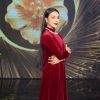 Trà Ngọc Hằng nói gì khi hát nhạc Hương Lan, Phi Nhung