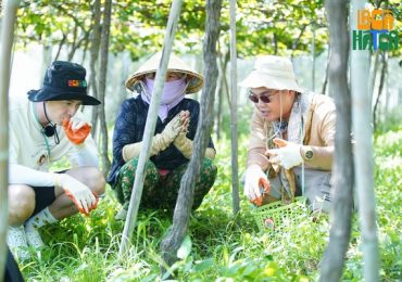 ‘Thu Sương – Thái Bình’ Ngô Kiến Huy – Blacka: Bộ đôi ‘gian thương’ mới nổi