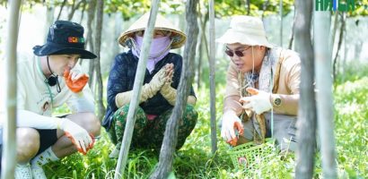 ‘Thu Sương – Thái Bình’ Ngô Kiến Huy – Blacka: Bộ đôi ‘gian thương’ mới nổi