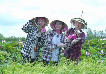 Misthy “chiêu trò” với Thùy Tiên và Đức Phúc, quyết hơn thua ở đầm sen Đồng Tháp