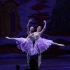 Kẹp hạt dẻ: Vở ballet kinh điển trở lại TP.HCM
