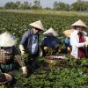 Thuỳ Anh, Võ Đăng Khoa mưu sinh cùng Tiến Luật, Huy Khánh