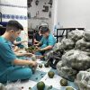 Doanh nghiệp ‘giải cứu’ nửa tấn cam miền Tây tặng khách hàng