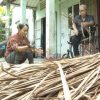 Chuyến xe nhân ái: Xót xa hoàn cảnh vợ chồng trẻ mắc bệnh hiểm nghèo nỗ lực kiếm tiền nuôi con