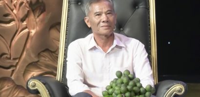 Ghé thăm vườn cau tiền tỷ của lão nông Nguyễn Ngọc Tần