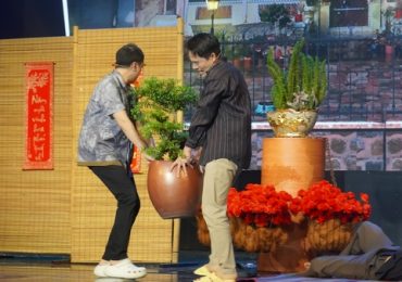 Cảnh giác cao độ với nạn trộm cây kiểng