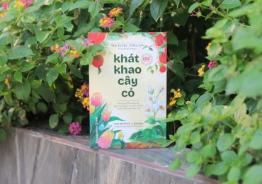 Mối quan hệ tương hỗ giữa con người và thiên nhiên trong ‘Khát khao cây cỏ’