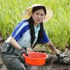 Khoảnh khắc ra đồng bắt cá của gia đình Lâm Vỹ Dạ – Hứa Minh Đạt gây sốt