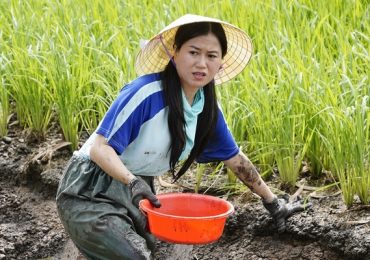 Khoảnh khắc ra đồng bắt cá của gia đình Lâm Vỹ Dạ – Hứa Minh Đạt gây sốt