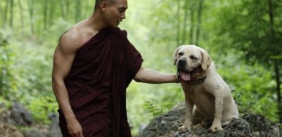 Chữa lành tâm hồn với những thước phim đẹp như mơ trong ‘An Lạc’
