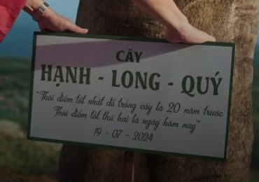 Bộ 3 Hạnh – Long – Quý ‘tất tay’ đem cây phượng của trường về quê Tiểu Long