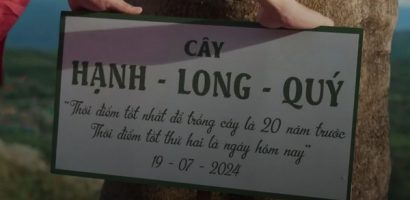 Bộ 3 Hạnh – Long – Quý ‘tất tay’ đem cây phượng của trường về quê Tiểu Long