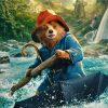 Gấu Paddington và sứ mệnh tìm lại bác Lucy tại quê nhà