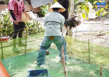 Quang Hùng tay không bắt vịt, chịu chơi bất chấp ‘trôi nền’
