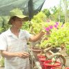 Thần tài gõ cửa: Rời giảng đường, theo đuổi ước mơ làm vườn