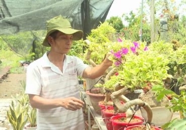 Thần tài gõ cửa: Rời giảng đường, theo đuổi ước mơ làm vườn