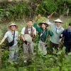 Không kịch bản, không drama, ‘Gia đình haha’ chạm vào khát khao chữa lành