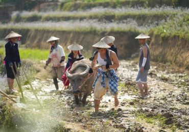 Gia đình haha: Từ phiên chợ vùng cao đến 1001 sự cố ‘không kịch bản’
