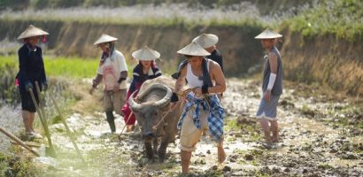Gia đình haha: Từ phiên chợ vùng cao đến 1001 sự cố ‘không kịch bản’