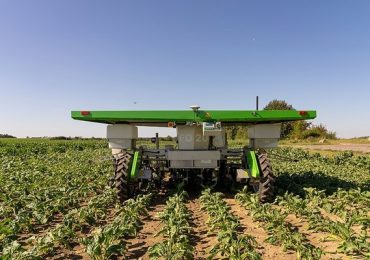 Robot năng lượng mặt trời thay nông dân nhổ cỏ