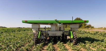 Robot năng lượng mặt trời thay nông dân nhổ cỏ