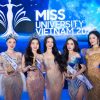 Top 3 Hoa hậu Sinh viên Việt Nam 2025 qua lời kể của Mentor Bùi Quỳnh Hoa