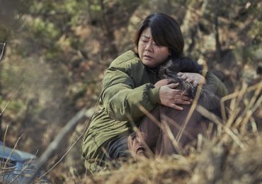 Siêu phẩm ‘Không bông tuyết nào trong sạch’ nhận cơn mưa lời khen từ quốc tế