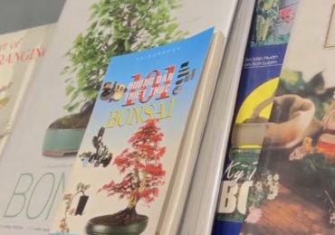 Câu chuyện cuộc sống: Văn hóa đọc trong thời đại số 