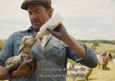 Siêu sao ‘người sói’ Hugh Jackman hoá người chăn cừu trong phim mới