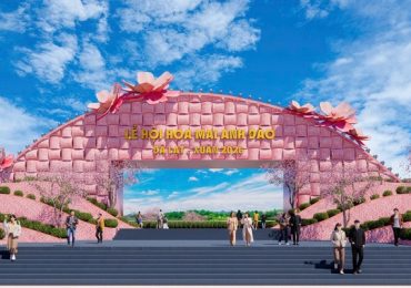 Đà Lạt tổ chức Lễ hội hoa Mai Anh Đào với loạt sự kiện đặc sắc