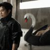 SWAN chọn hình tượng thiên nga trong MV debut