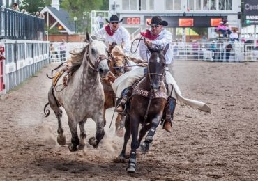 Du lịch trang trại tại Montana, Wyoming