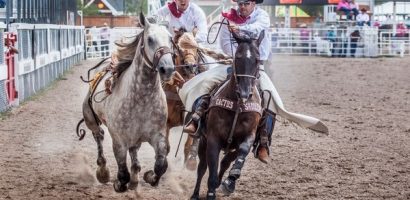 Du lịch trang trại tại Montana, Wyoming