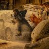 Zach Cregger mang phong cách mới đến ‘Resident Evil: Vùng Đất Quỷ Dữ’
