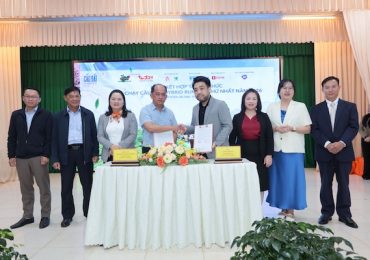 Khởi động giải chạy Cầu Đất Hybrid Run 2026